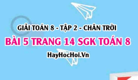 Bài 5 trang 14 Toán 8 Tập 2 Chân trời sáng tạo